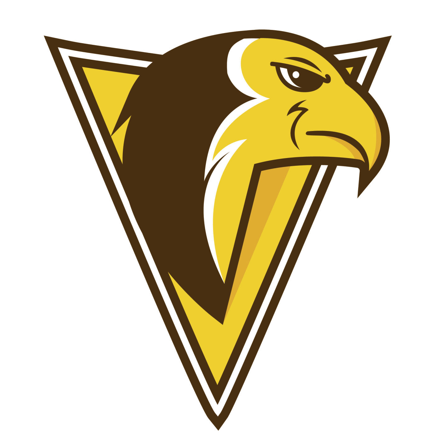 Valparaiso DuneHawks